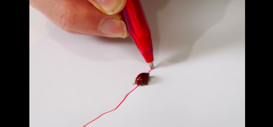 Megtrollkodták a katicabogarakat: ha van otthon egy tollad, azonnal irányíthatod őket